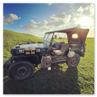 Ein Willys Jeep steht in der Abendsonne auf einer Wiese