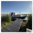 Ein Sportboot liegt an einem Anleger neben einer Wiese