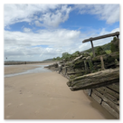 Schiffs Wrack - Polstjernan an der Elbe