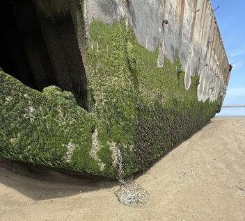 Fragmente eines Mullberry Hafens in Arromanches